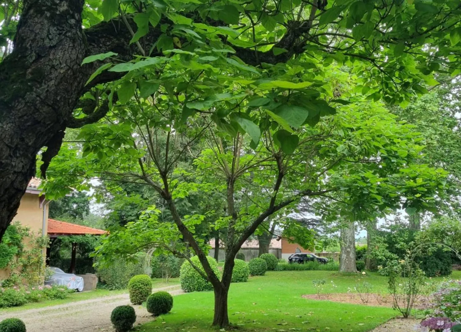 فندق مبيت وإفطار Guereins Chateau Des Charmes